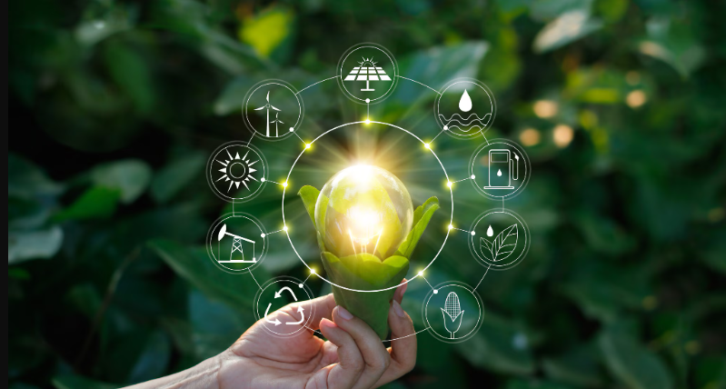 The Rise of Green Tech: How Technology Is Fighting Climate Change