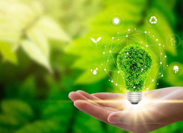 Green by Design: Tools That Help You Create Sustainable Marketing Materials