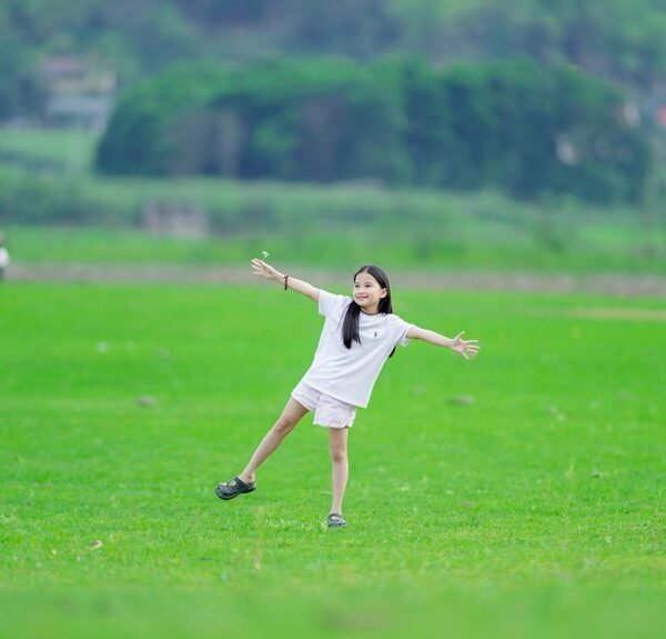 activity overview and trends