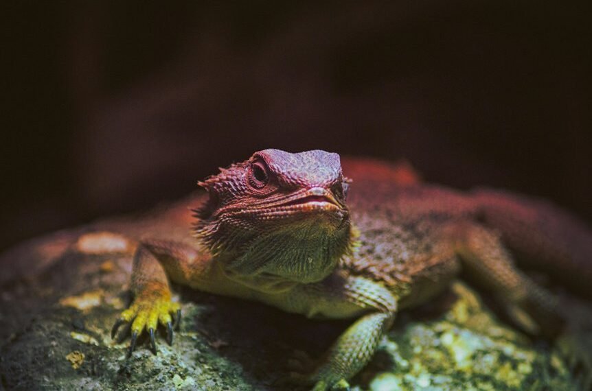 identifier behavior and metrics