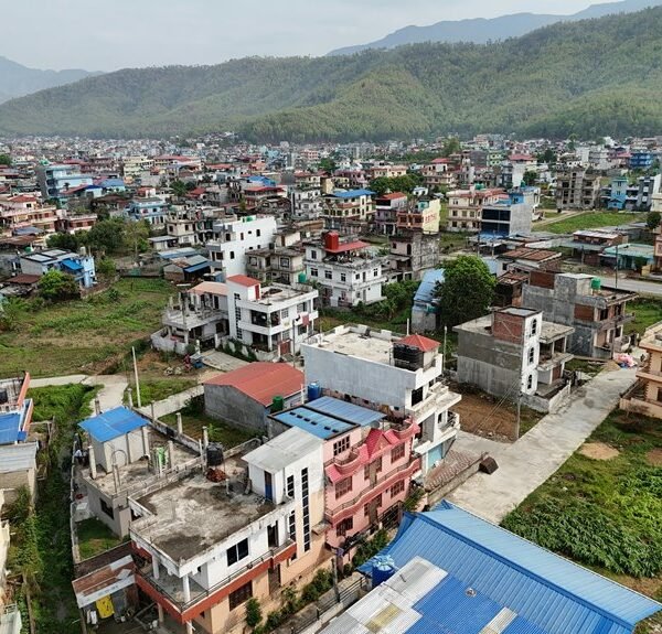 identifier presence summary overview