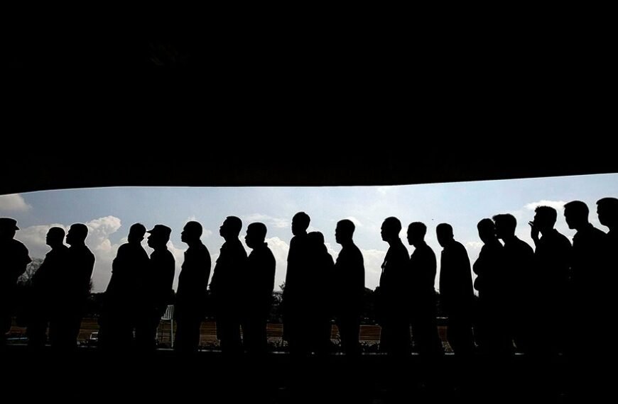 profile metrics analysis overview