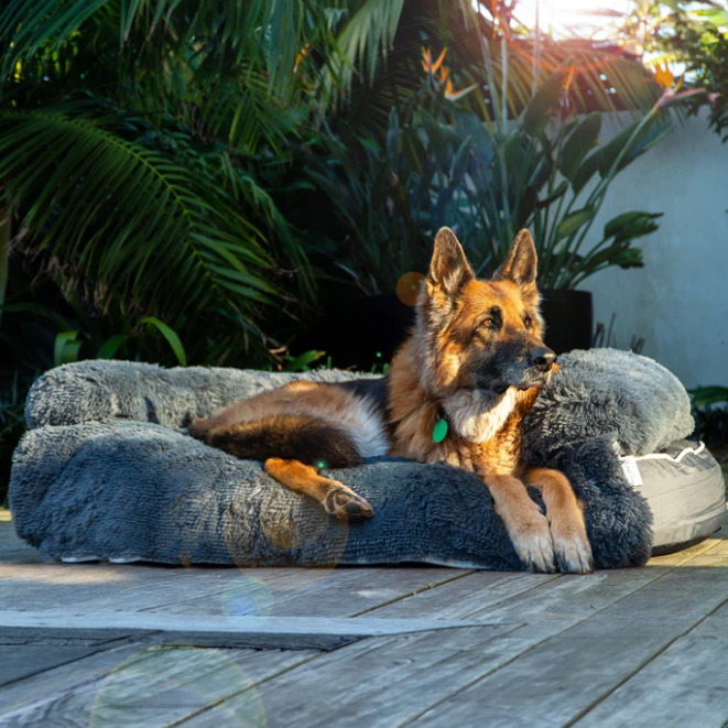 Buy Dog Bed Covers Online for Comfort, Hygiene, and Style